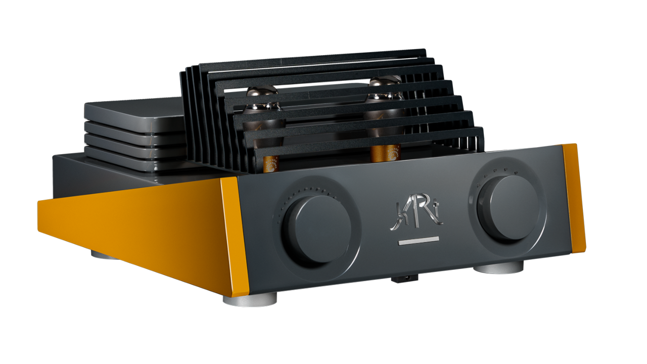 DSC8385 focus Yellow Black PNG 2 1280